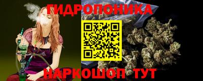прущие крисы Абакан