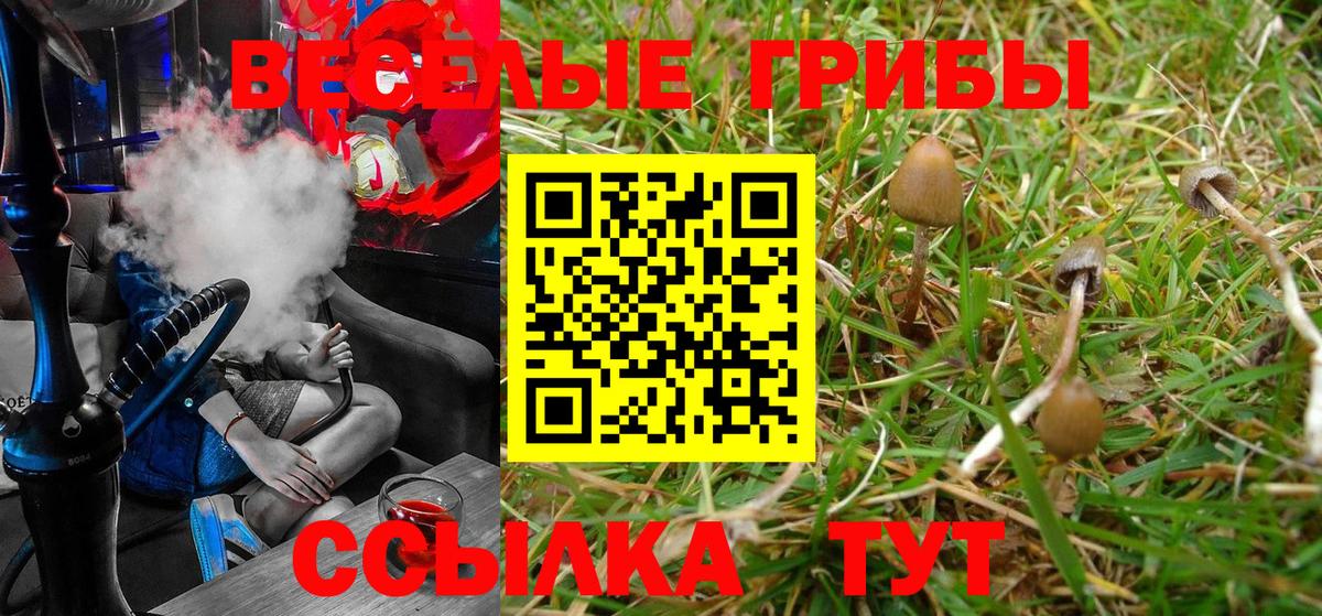 Псилоцибиновые грибы Psilocybe  Вход с VPN  Галлюциногенные грибы мицелий  Азнакаево 