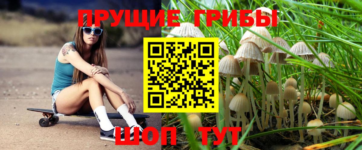 Псилоцибиновые грибы MAGIC MUSHROOMS Азнакаево
